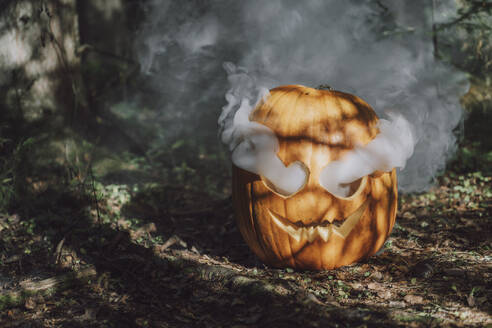 Smoke releasing from carved Jack O' Lantern in forest - VBUF00451