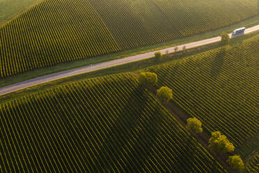 Deutschland, Baden-Württemberg, Luftaufnahme einer zwischen Weinbergen verlaufenden Landstraße - WDF07411