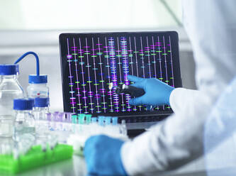 Wissenschaftlerin prüft DNA-Informationen auf einem Laptop im Labor - ABRF01084