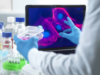 Microbiologist examining cells on device screen in laboratory - ABRF01095