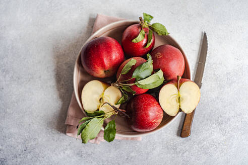 Top view of bunch of ripe red apples in plate placed near knife and cloth on gray surface against blurred background - ADSF48110