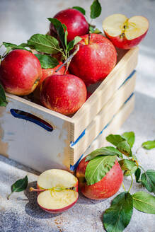 High angle of whole fresh red ripe organic delicious apples with green leaves filled in wooden box with half cut pieces and placed on gray surface in daylight - ADSF48112
