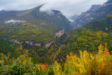 Aerial view high colorful trees with lush foliage in wild nature of Ordesa and Monte Perdido National Park in Spain - ADSF48162