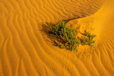 Closeup rippled sand surface on dune in arid desert - ADSF48169