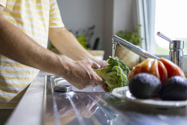 Crop anonymous male washing broccoli with water stream from faucet in kitchen sink while cooking in blurred background - ADSF48371