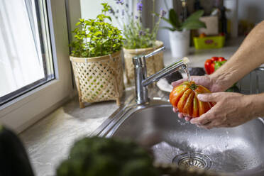 Crop anonymous male washing tomato with water stream from faucet in kitchen sink while cooking in blurred background - ADSF48373