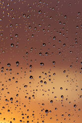 Window pane covered in raindrops - NDF01598