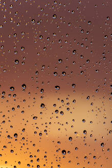 Window pane covered in raindrops - NDF01598