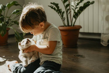 Niedlicher Junge spielt mit Mischlingshund zu Hause - ANAF02273