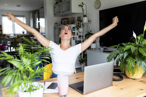 Happy Successful freelancer cheering at desk - WPEF07758