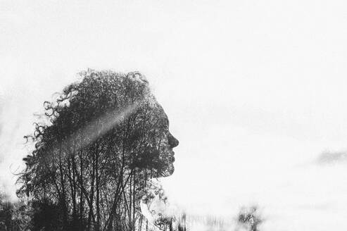 Silhouette of woman with trees - ANAF02318