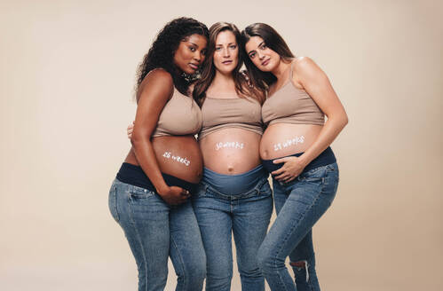 Junge, heterogene schwangere Frauen im dritten Trimester stehen in einem Studio zusammen. Sie tragen Jeans und BHs und zeigen ihren Babybauch. Sie umarmen sich und schauen in die Kamera und repräsentieren eine unterstützende multikulturelle Gruppe von Müttern. - JLPSF30893