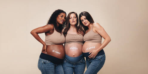 Multicultural women showing their support for each other in their pregnancy  journeys. Pregnant friends standing together