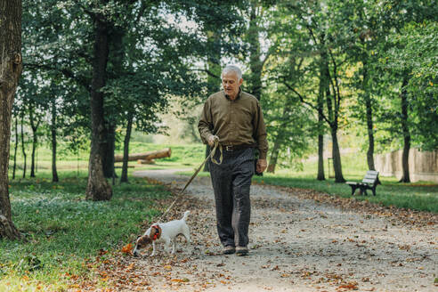 Senior man walking with Jack Russell Terrier dog at autumn park - VSNF01412