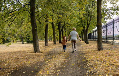 Ältere Frau mit Enkel, die sich an den Händen halten und im herbstlichen Park laufen - MBLF00056