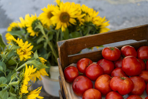 Kisten mit saftigen roten Tomaten neben Sonnenblumen auf dem Bauernmarkt - NDEF01307