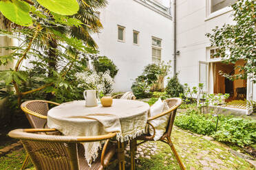 Dining table and chairs arranged in small courtyard with plants growing outside residential building - ADSF48749