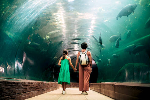 Back view of unrecognizable mother with daughter in casual clothes standing in glass tunnel under aquarium and admiring group of carp fish in water - ADSF48805