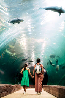 Back view of unrecognizable mother with daughter in casual clothes standing in glass tunnel under aquarium and admiring group of carp fish in water - ADSF48806