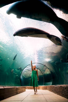 Adorable girl in casual green dress standing in glass tunnel under aquarium and pointing to swimming pair of manatees in bright wavy water with fish - ADSF48807