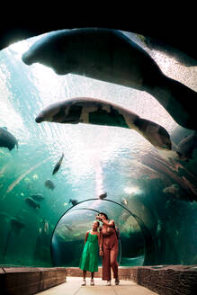 Full body of mum with daughter in casual clothes standing in glass tunnel under aquarium and pointing to swimming pair of manatees in bright wavy water with fish - ADSF48808