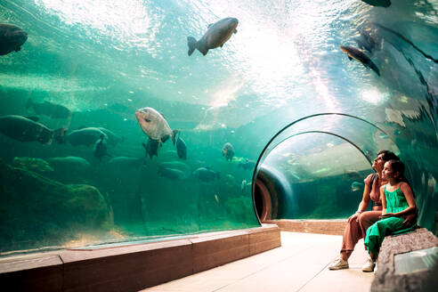 Side view of positive mother and daughter in casual clothes smiling while sitting on bench near aquarium glass wall and looking at group of swimming carp fish - ADSF48809