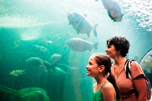 Side view of positive mother and daughter in casual clothes smiling while standing near aquarium glass wall and looking at group of swimming carp fish - ADSF48810