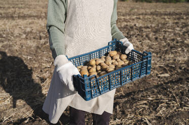Bauer hält Kiste mit geernteten Kartoffeln vom Feld - ALKF00712