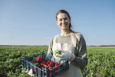 Happy farmer holding bell peppers in crate at field - ALKF00727