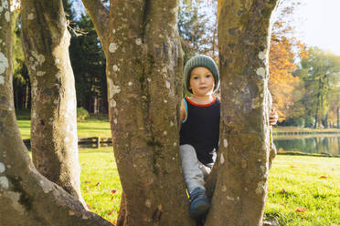 Boy wearing knit hat standing amidst tree trunks - NDEF01364