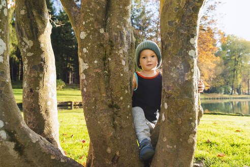 Junge mit Strickmütze steht inmitten von Baumstämmen - NDEF01364
