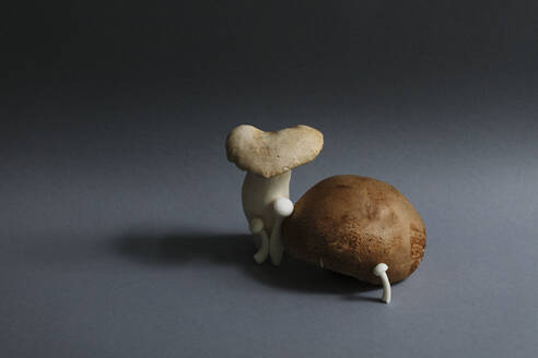 Edible mushrooms against gray background - JUBF00446