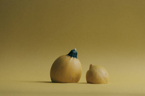 Squash and lemon against yellow background - JUBF00453