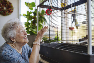 Glückliche ältere Frau betrachtet Vogel im Käfig zu Hause - HAPF03276