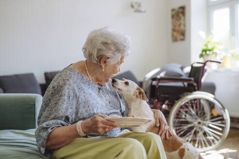 Smiling senior woman holding plate and stroking dog at home - HAPF03299