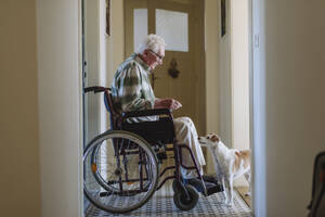 Lächelnder älterer Mann im Rollstuhl sitzend in der Nähe eines Hundes - HAPF03317
