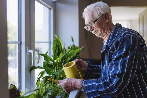 Smiling senior man watering plants with can at home - HAPF03349