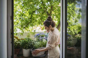 Woman watering flowers, taking care of plants on balcony - HAPF03401