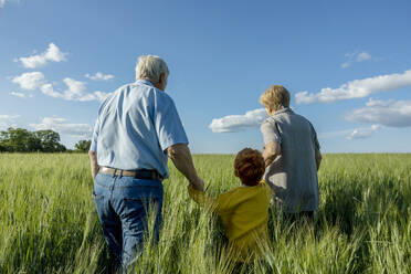 Elderly couple holding hands of grandson walking in field - MBLF00092