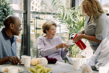 Young female nurse serving coffee to retired senior woman sitting by man in nursing home - MASF40188