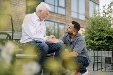 Male nurse squatting while talking to retired senior man sitting on bench at back yard - MASF40237