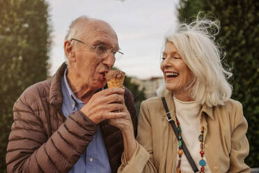 Happy senior couple sharing ice cream - MASF40566