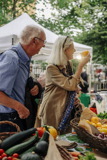 Senior woman examining persimmon while standing by man at market - MASF40572