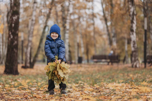 Lächelnder Junge sammelt Herbstblätter im Park - ANAF02382