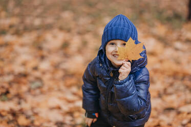 Cute boy holding maple leaf near face at autumn park - ANAF02383