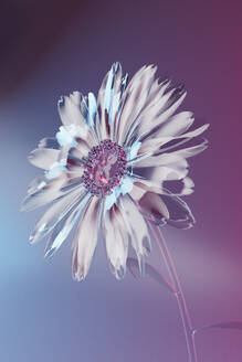 3D render of white glass flower - GCAF00472