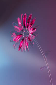 3D render of pink glass flower - GCAF00473