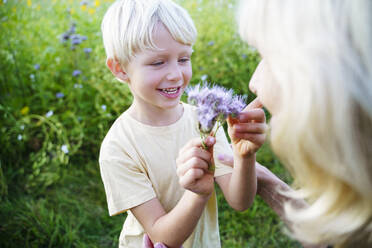 Lächelnder Enkel betrachtet eine Blume mit Großmutter auf einem Feld - NJAF00600