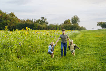 Glücklicher Vater, der die Hände hält und mit seinen Kindern im Sonnenblumenfeld läuft - NJAF00610