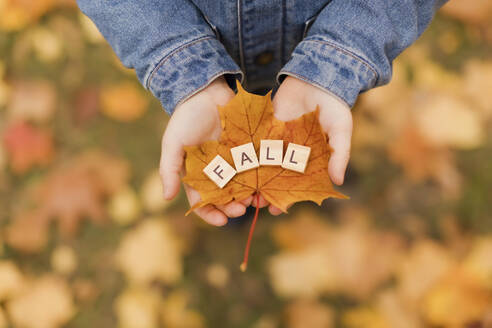 Junge hält hölzerne Herbst Buchstaben auf Blatt in der Hand im Herbst Park - ONAF00669